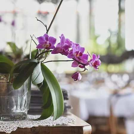 Bellavista Boutique Hotel 3*