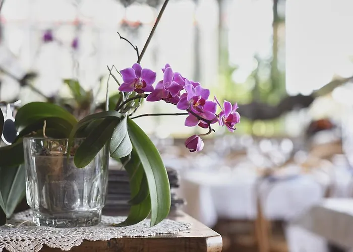 Bellavista Boutique Hotel 3*