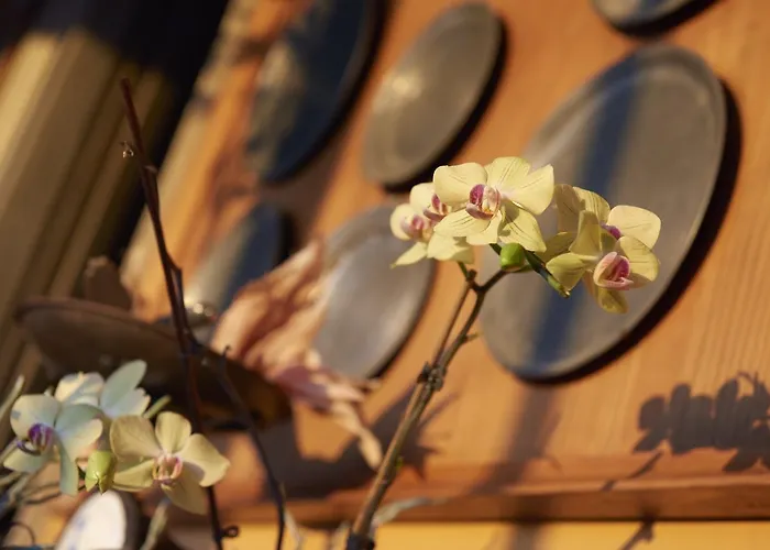 ベッラヴィスタ ブティック